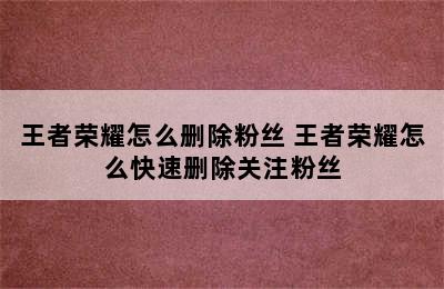 王者荣耀怎么删除粉丝 王者荣耀怎么快速删除关注粉丝